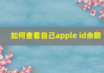 如何查看自己apple id余额